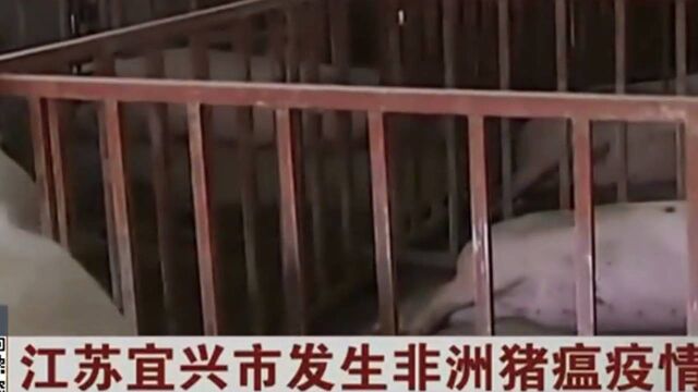 又一起猪瘟疫情!江苏宜兴非洲猪瘟致12头生猪发病9头死亡