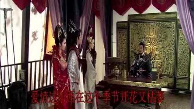 翟小树伤感情歌《冬天的叶子 》伤感歌曲,MV制作得太好看了