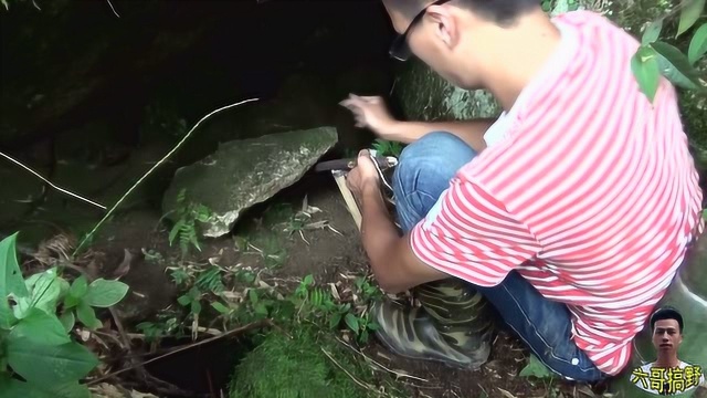 用这种古老的方法捕猎,见过的人基本都老了