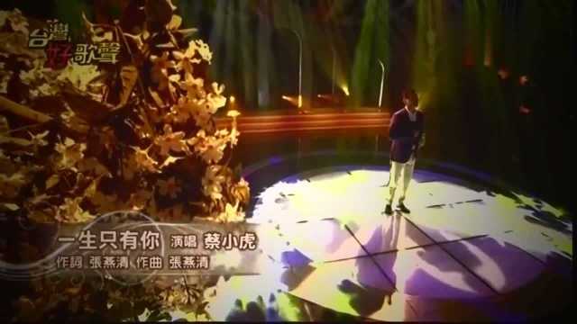 蔡小虎《一生只有你》闽南歌曲 蔡小虎的唱腔很好听