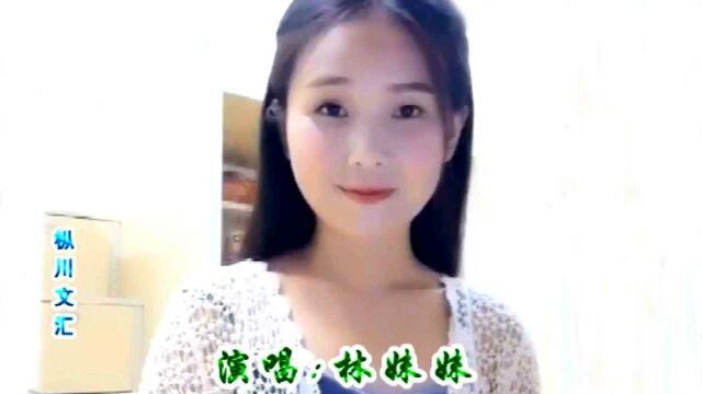 戏曲 黄梅戏《杉木水桶 》林妹妹精彩演绎