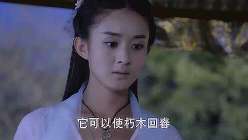 《花千骨》速看版第三十五集:神器炎水玉能解卜元鼎毒