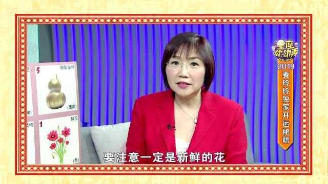 麦玲玲独家解析2019年十二生肖如何开运?