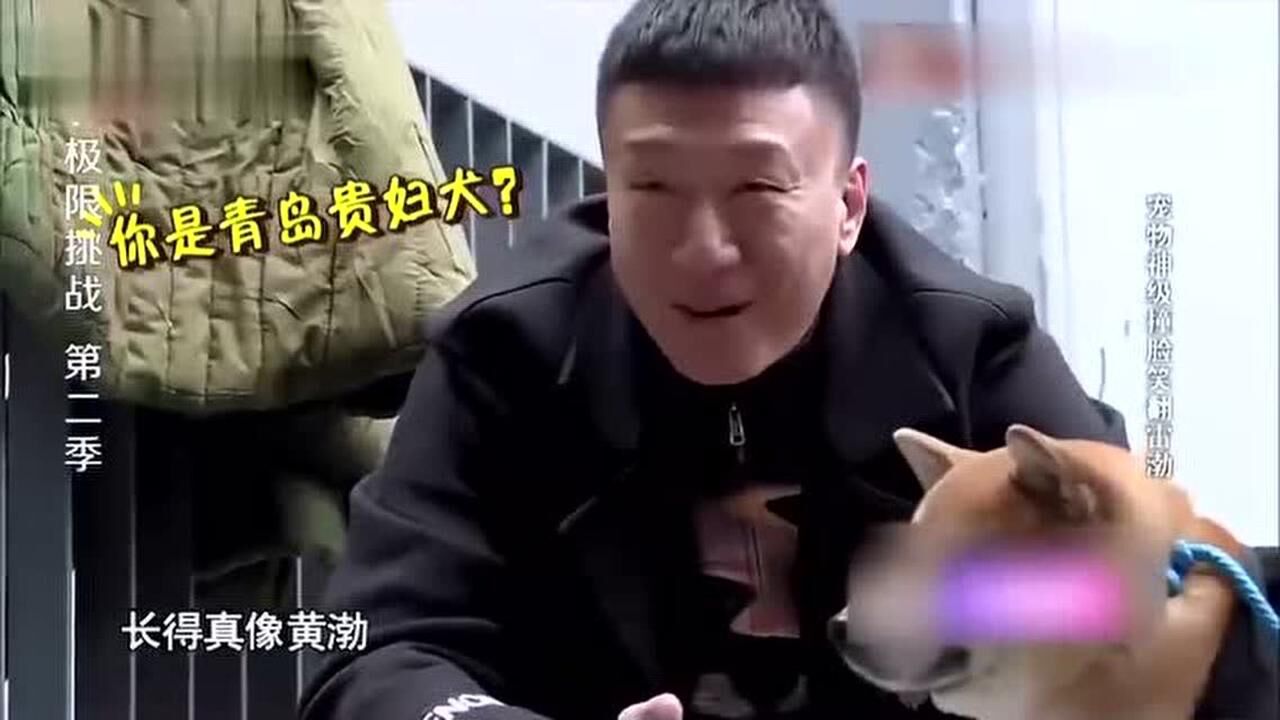 孙红雷夸狗长得真像黄渤给狗披上大衣戴上墨镜他笑得更厉害