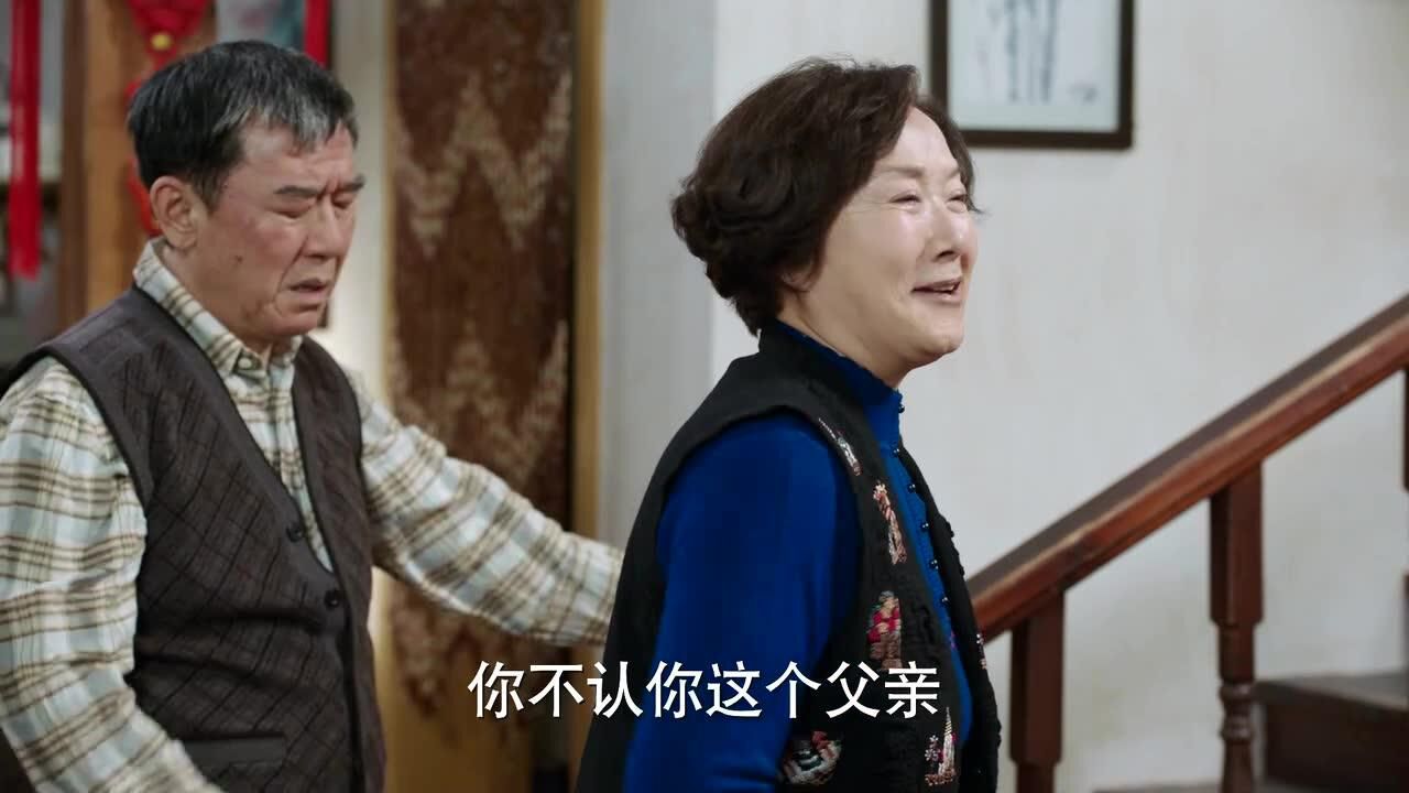 幸福一家人房永芬教训房天忆指责他没有良心