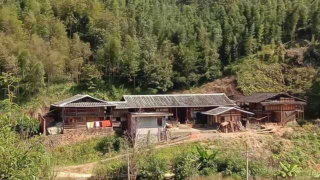 中国梦文化研究院艺企联盟考察福建尤溪梅仙镇玉石村彭坑厝古民居