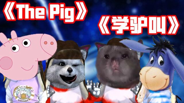 浣熊口技学动物叫,自创《the pig》《学驴叫》等歌曲