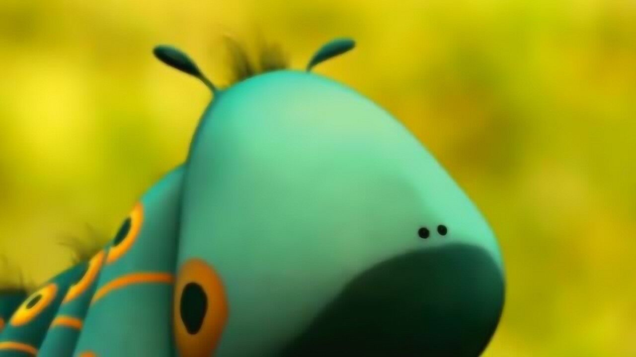 昆虫总动员:呆萌的毛毛虫!