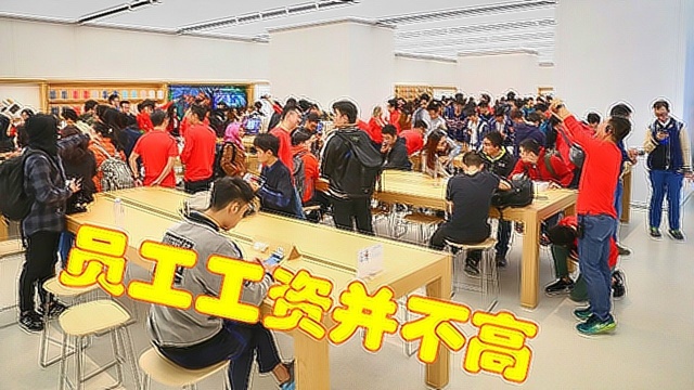 苹果以高薪留住员工?Apple Store 零售店员工的工资很低