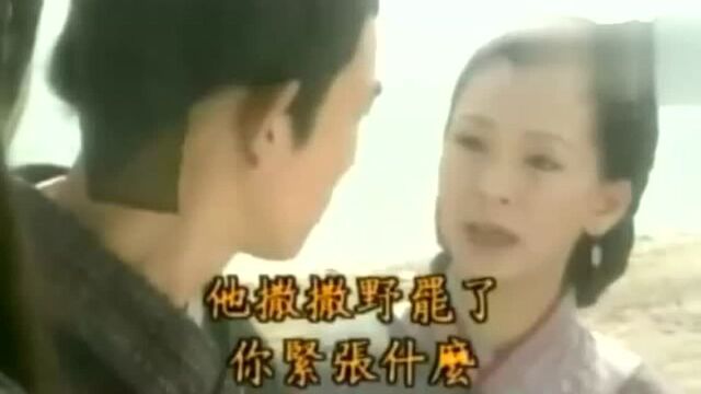 杨过用蛤蟆功打伤小武又和黄蓉闹情绪去跳海