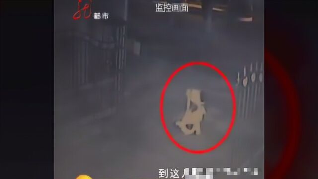 男子腰椎损坏仍坚持强奸2女子,被抓后男子:干那事挺费劲的