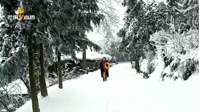 隆回:雪花飞舞正当时,花瑶构织五色世界