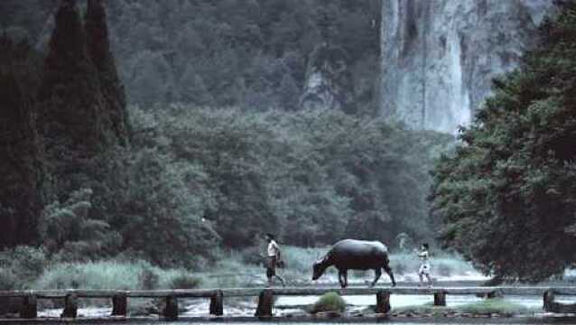 江南水乡雨天风景合成