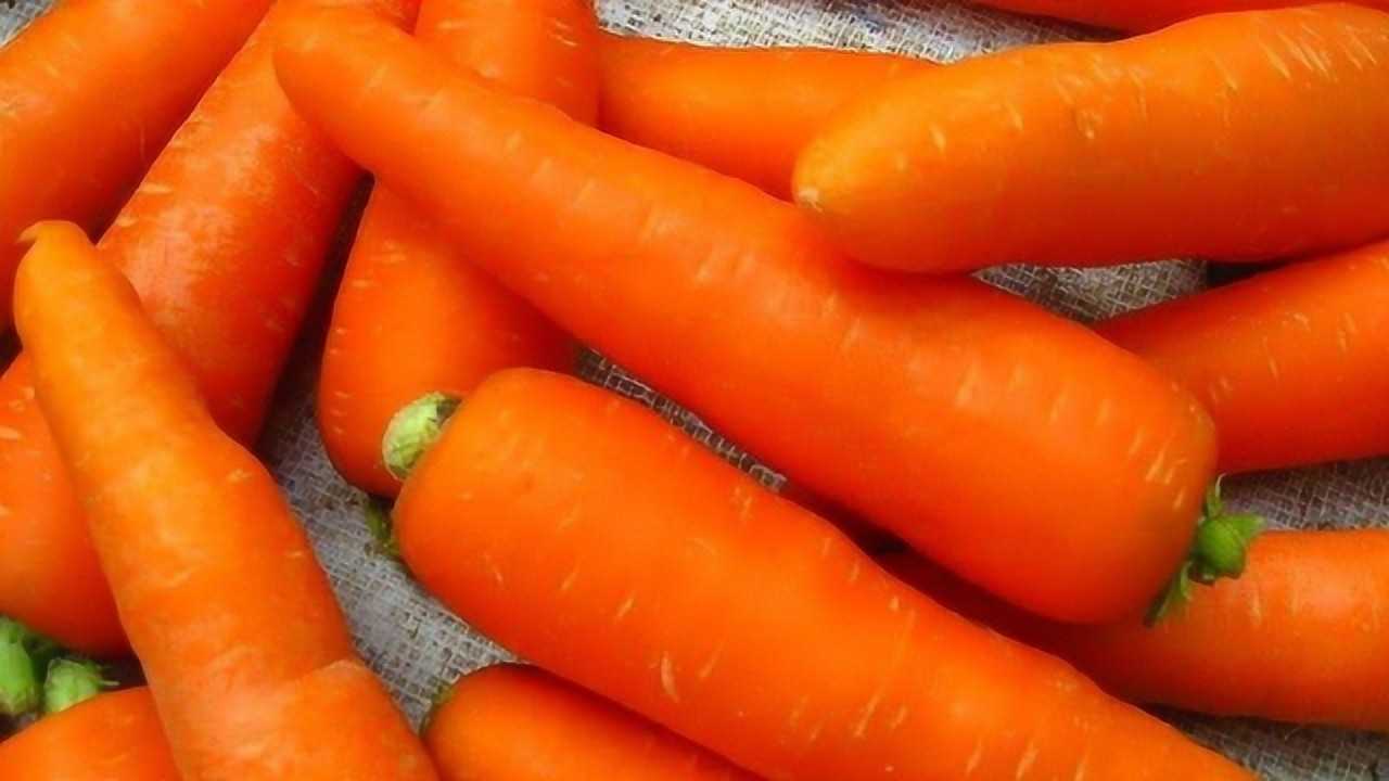胡萝卜隔夜能吃吗 腾讯网