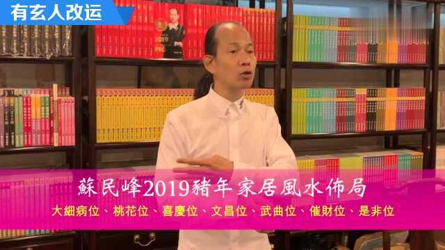 苏民峰2019猪年家居风水布局