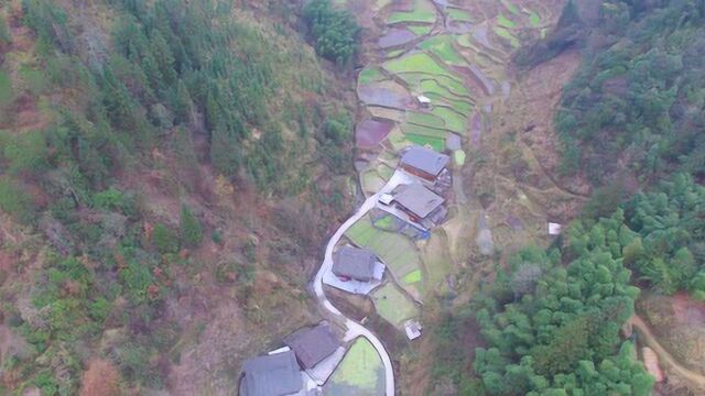 航拍深山里的几户人家,两山夹一沟,真是少见的好地方!