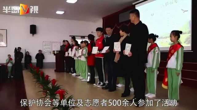 放眼绿水青山,建设美丽中国,夏庄街道云头崮小学在行动!