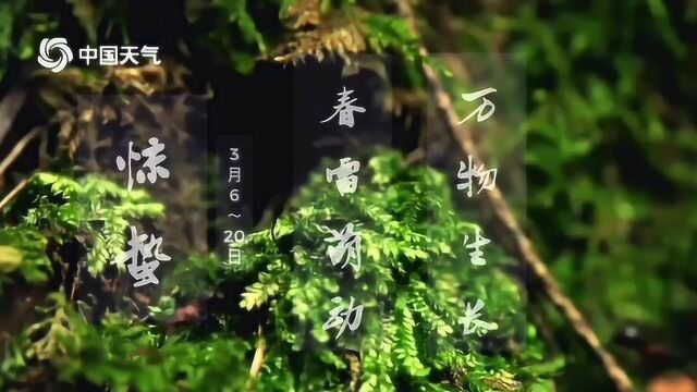 比朱一龙声音还好听的惊蛰版《知否 知否》