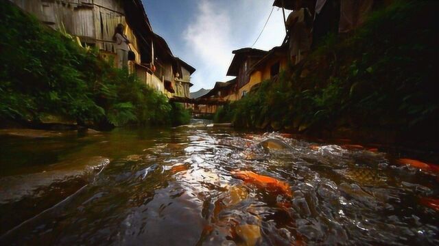 福建周宁500年历史的鲤鱼溪,世界上唯一的鱼冢就在这里