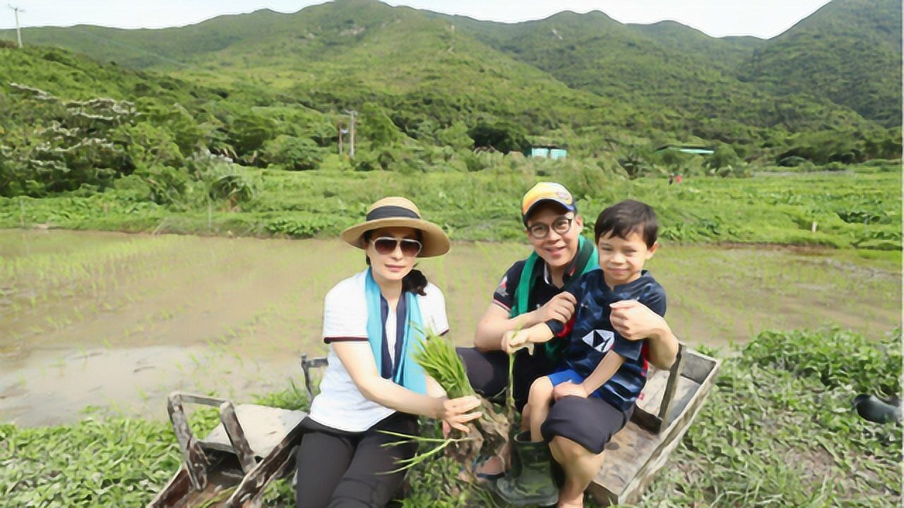 郭晶晶夫妇带儿子去农村种地照片曝光