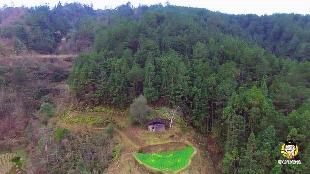 航拍大山里一户单独人家,独占一个山头,风水格局比想象中更完美