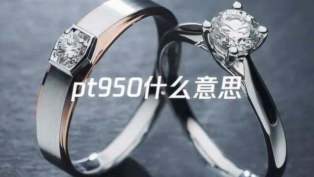 pt950什么意思?Pt950代表什么意思?