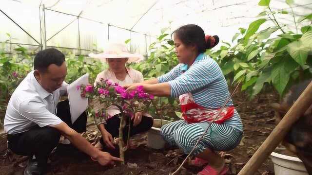 《四川边界行》第三集:代家村的“最后一公里”