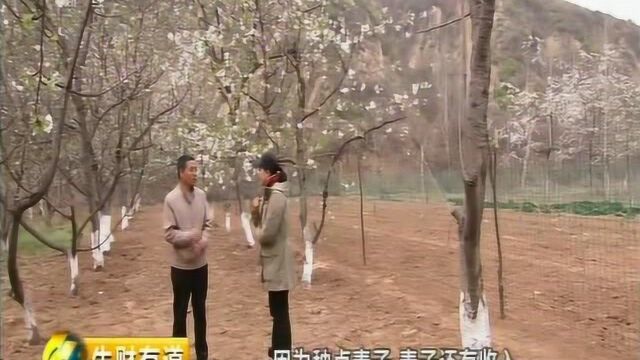 CCTV2《生财有道》走进义马