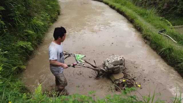 这样的小型犁地机你见过吗,小巧好用,农村小伙单手都能犁田