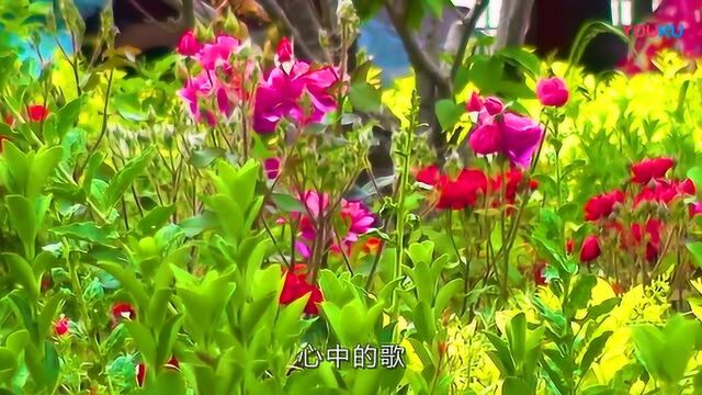 《我和我的祖国》 夏津实验中学礼赞新中国70华诞快闪