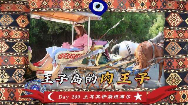 旅居day209 有故事有颜值的度假岛,王子岛遇见“真王子”