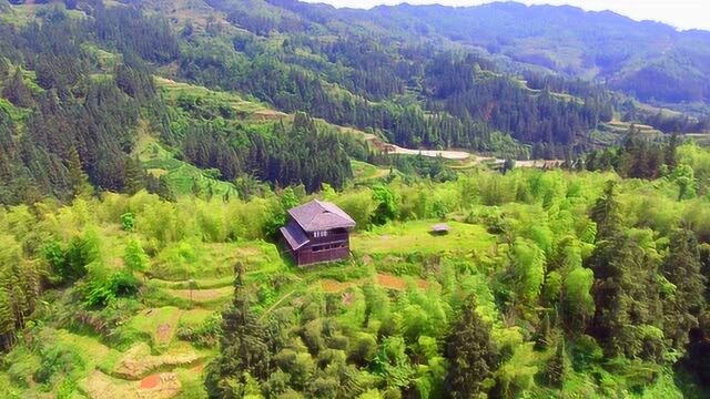 航拍农村,一个山头一户人家,四周都是竹林,真是个养身的好地方