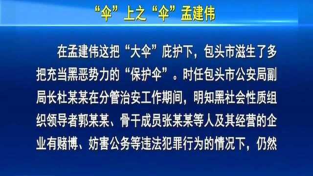 中央扫黑除恶督导在内蒙:“伞”上之“伞”孟建伟