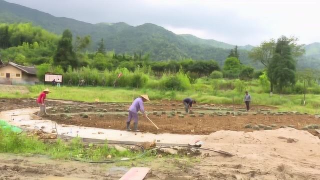 江山镇山塘村兵工厂文化广场提升改造工程有序推进6月建成投用