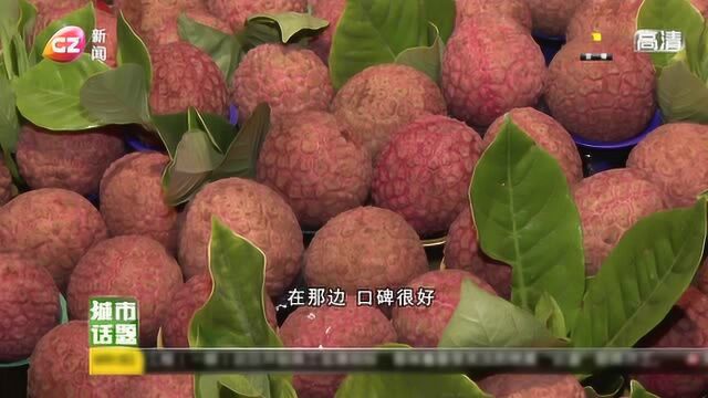 荔枝遇“小年” 销售新模式1