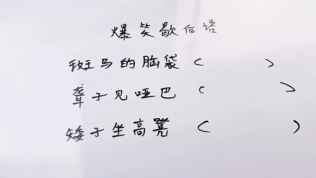 爆笑歇后语“斑马的脑袋”,你知道答案吗?看完涨知识了