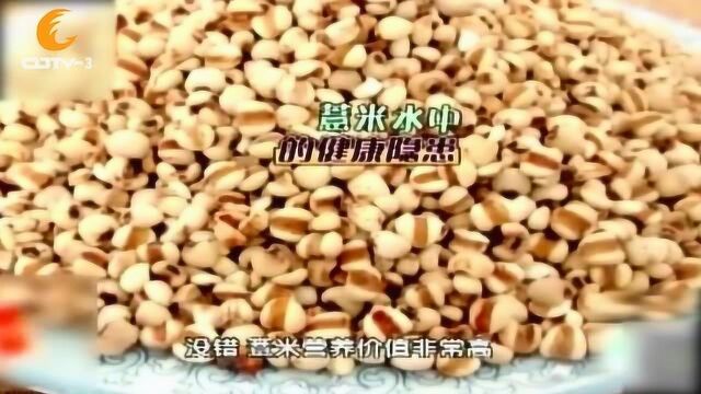 女子买薏仁煮水祛湿,全家竟都喝出病来,到底怎么回事?