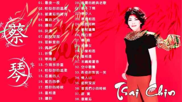 蔡琴 精选20首《被遗忘的时光》《寒雨曲》《想你的时候》等