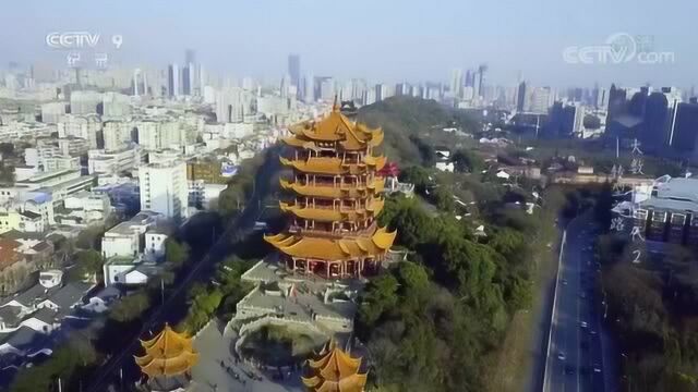 《特别呈现》20190702大数据时代第二集转型之路