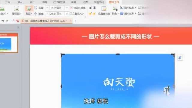 wps文档如何裁剪图片?