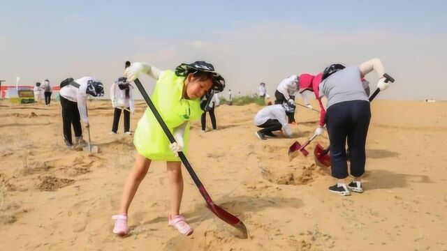 这个沙漠只剩下200亩,距离北京90公里,成当地有名旅游景点