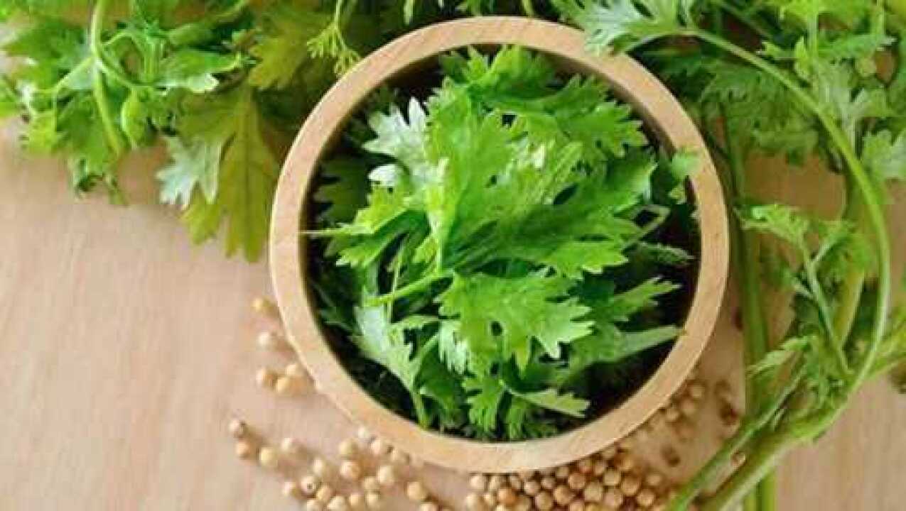 男人常吃香菜会导致“阳痿”这是真的吗？说出来你都不敢信