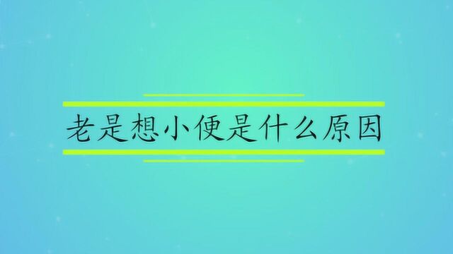 老是想小便是什么原因