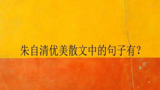 朱自清优美散文中的句子有?