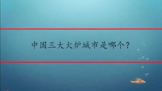 中国三大火炉城市是哪个?