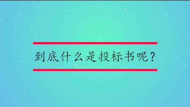 到底什么是投标书呢?