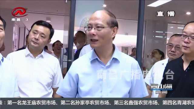 副省长吴晓军到青山湖区调研