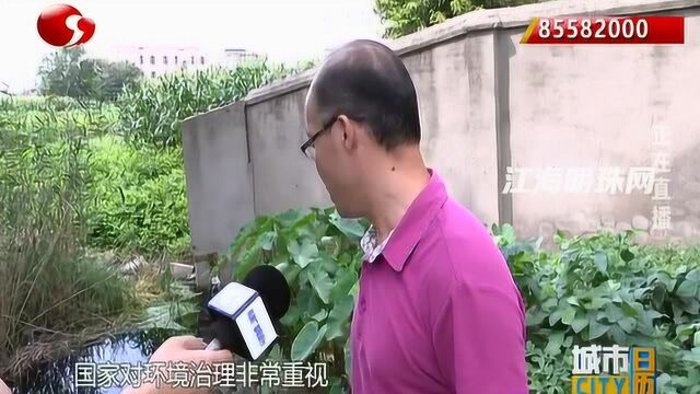 如皋石庄:小河黑臭影响居民生活 社区表示马上改造