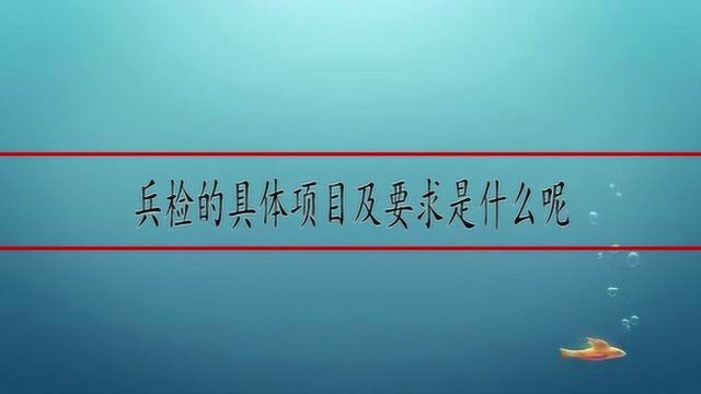 兵检的具体项目及要求是什么呢