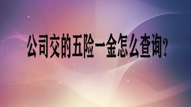 公司交的五险一金怎么查询?